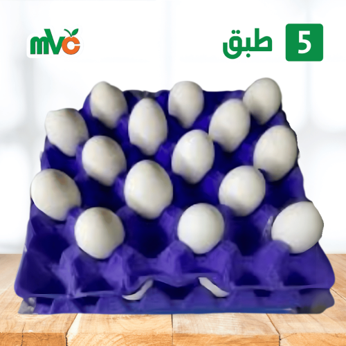 5 طبق بيض صفارين حجم جامبو مميز