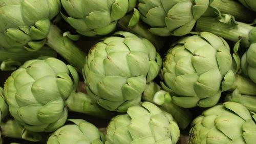 كرتون ارضي شوكي امريكي