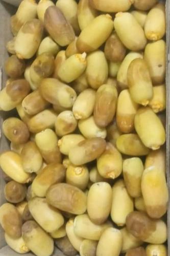 رطب مجناز حساوي كرتون