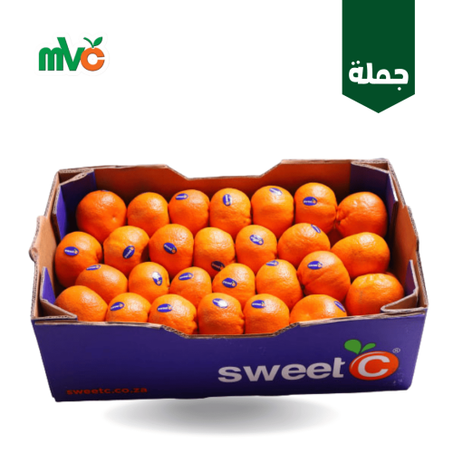 افندي مستورد /كرتون