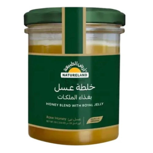 أرض الطبيعة خلطة عسل بغذاء الملكات العضوي 250 جم