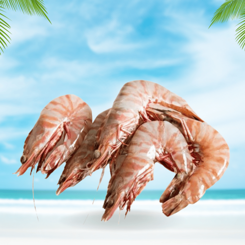 روبيان محلي وسط نصف كيلو