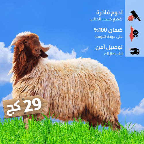 خروف نعيمي بلدي مذبوح 29 كغ