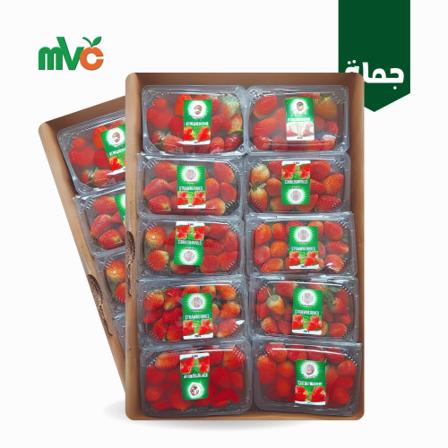 فراولة امريكي /كرتون 10* 450غ