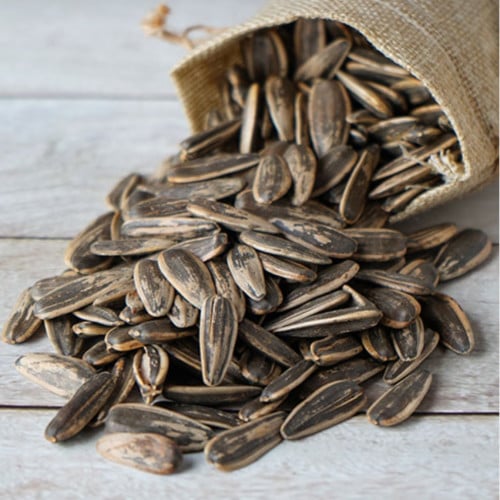 حب شمسي محمص مالح ربع كيلو