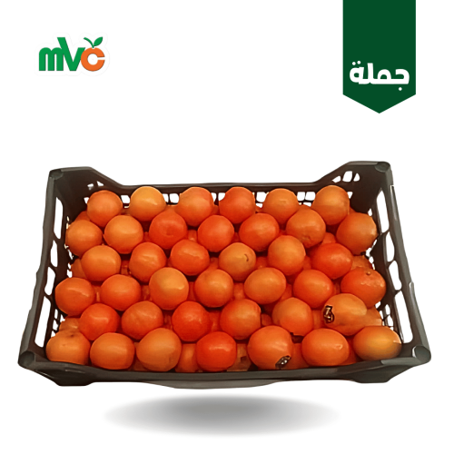 افندي مصري /سلة