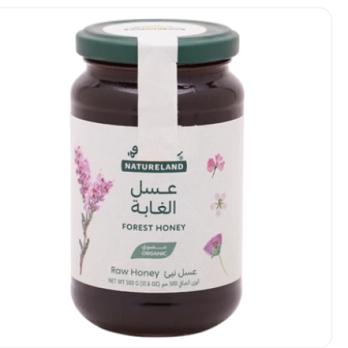 أرض الطبيعة عسل الغابة العضوي 500 جم