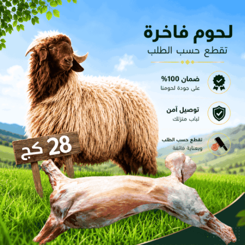 خروف نعيمي بلدي مذبوح 28 كغ