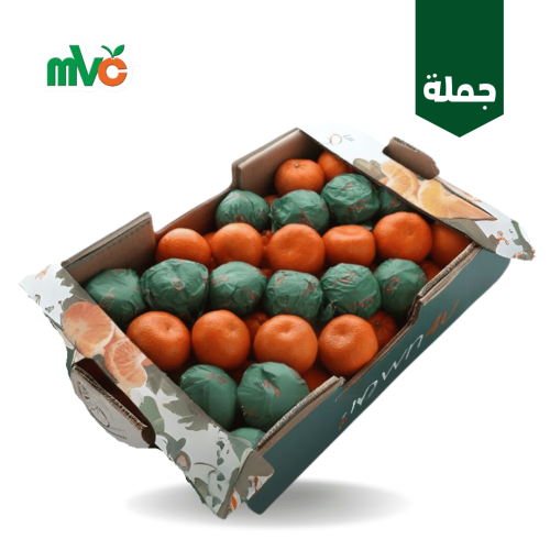 افندي مغربي /كرتون