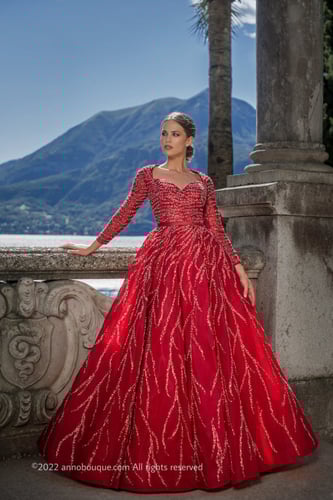 Beaded Tulle Long Sleeve Gown