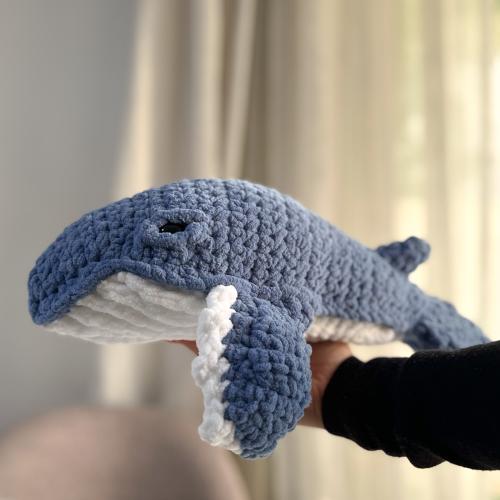 الحوت الأحدب حجم صغير