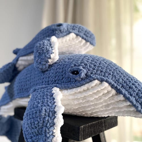 الحوت الأحدب حجم صغير