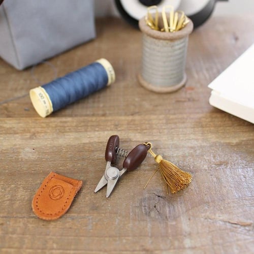 سكي مقص صغير أزرق