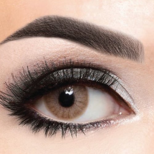 بيوتيس - اكزوتك - عبوة من عدستين-اكزوتك دي اورو