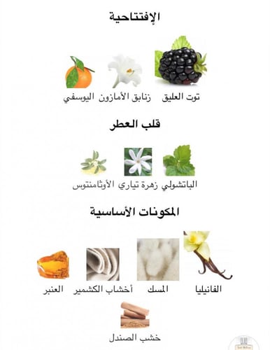 عطر تريزور بلاك بيري فانيلا اودي بارفيوم 100مل