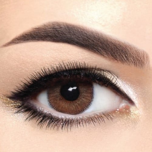 بيوتيس - اكزوتك - عبوة من عدستين-اكزوتك كاستنو