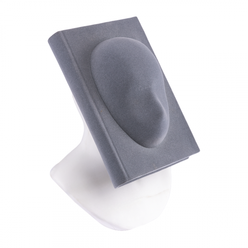 وجه كتاب ( رمادي )