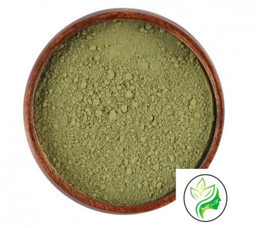 سدر بلدي أوراق السدر المجففة الدرجة الأولى يتم الت...