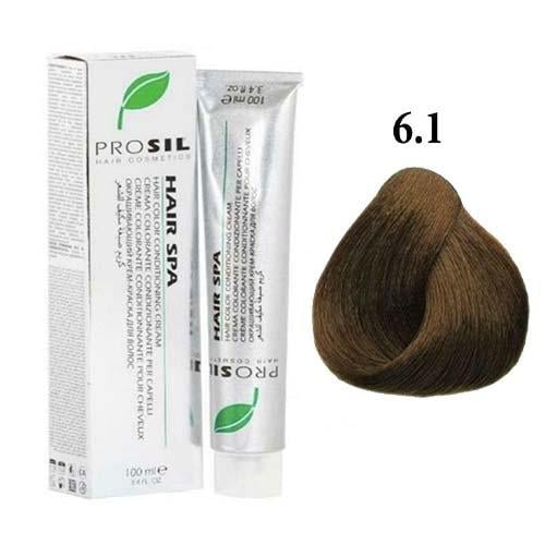 صبغة شعر اشقر غامق رمادي كثيف ( 6.1 ) من بروسيل –...