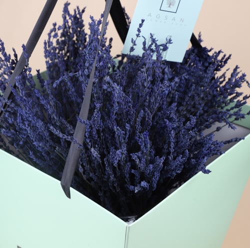 لافندر فواح m