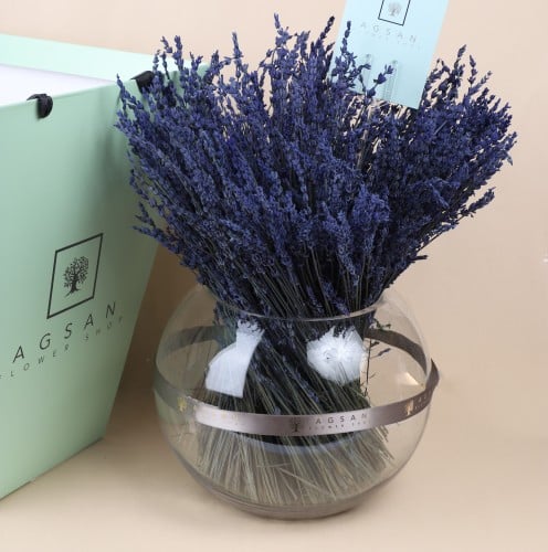 لافندر فواح m