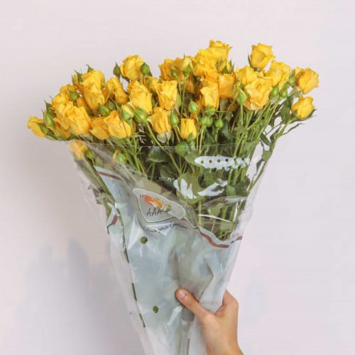 بيبي جوري اصفر