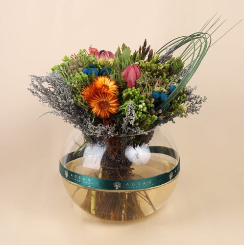 فازة الصحراء