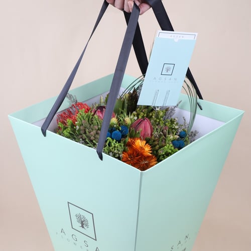 فازة الصحراء