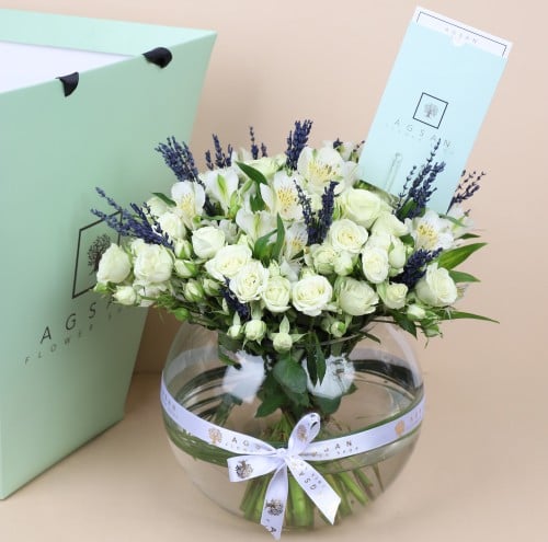 سنو وايت لافندر