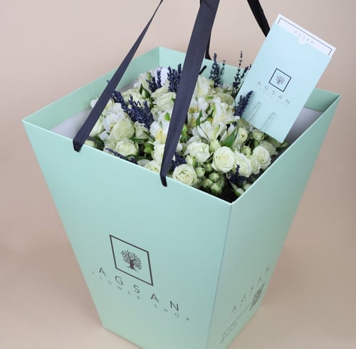 سنو وايت لافندر