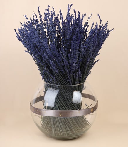 لافندر فواح m