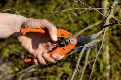 مقص اغصان فرنسي اصلي باهكو