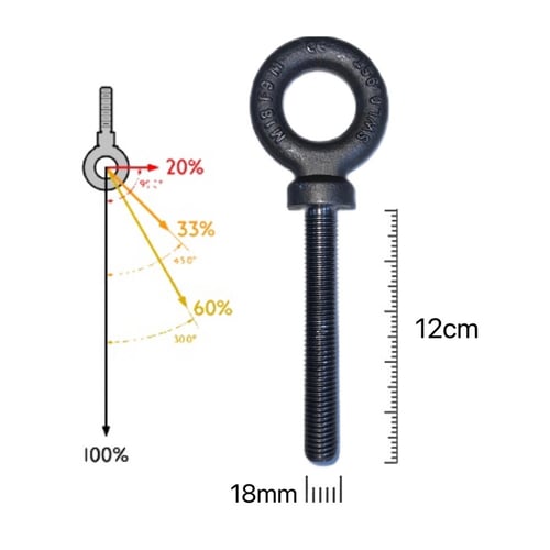 حلقة ذكر سن كامل