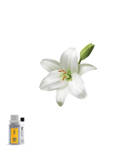 زنبق الوادي