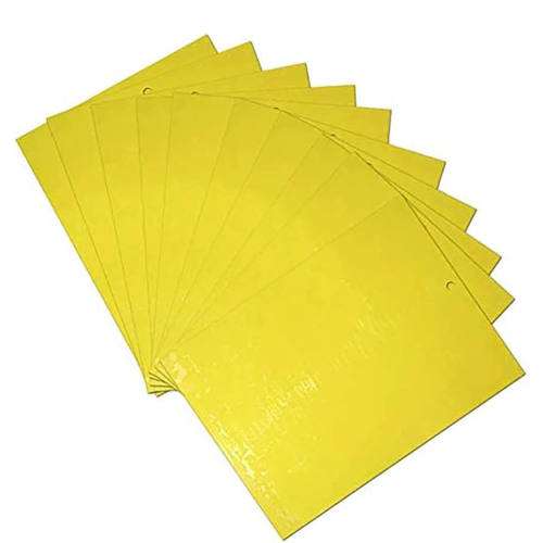 ورق صيد حشرات لاصق صائد ذباب لاصق من دي ال سي -10...