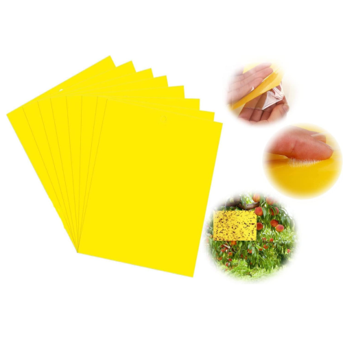 ورق صيد حشرات لاصق صائد ذباب لاصق من دي ال سي -10...