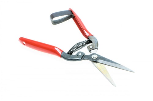 مقص تقليم 8" - 10558