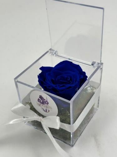 ورد دائم ازرق صغير