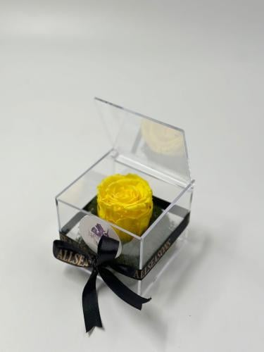 ورد دائم اصفر