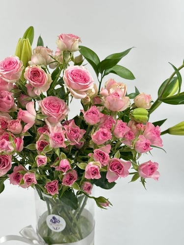 فازة ورد بيبي روز ليليلي