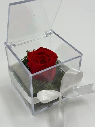 ورد دائم احمر