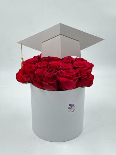 بوكس تخرج أحمر