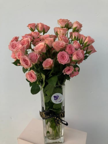 فازة ورد بيبي قيرل