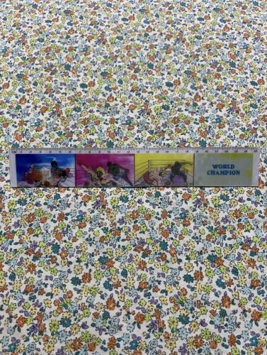 مسطرة قديمة ثلاثية الأبعاد - بطل العالم