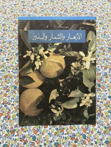 الأزهار والثمار والبذور