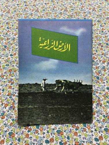 الأرض الزراعية