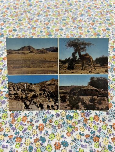 من صور جنوب السعودية قديماً