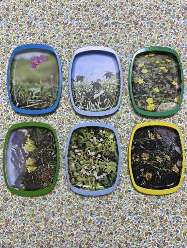 6 صحون قديمة ( اشكال مختلفة )