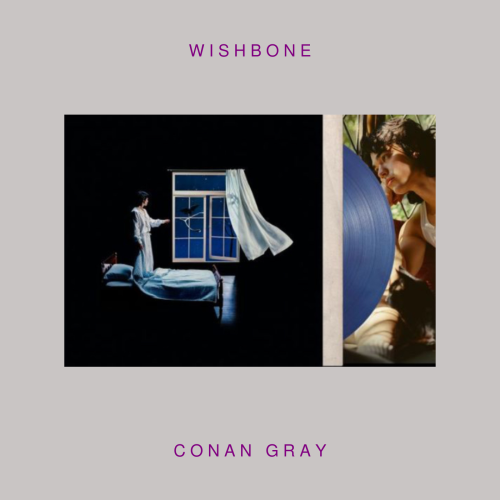 Conan Gray - Wishbone ( Vinyl LP )