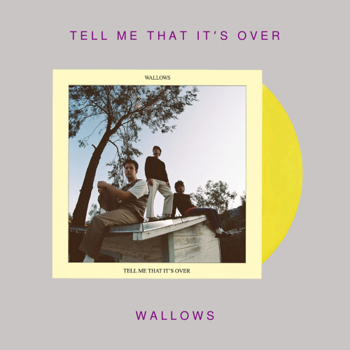 Wallows - Tell Me That It’s Over ( Vinyl LP )